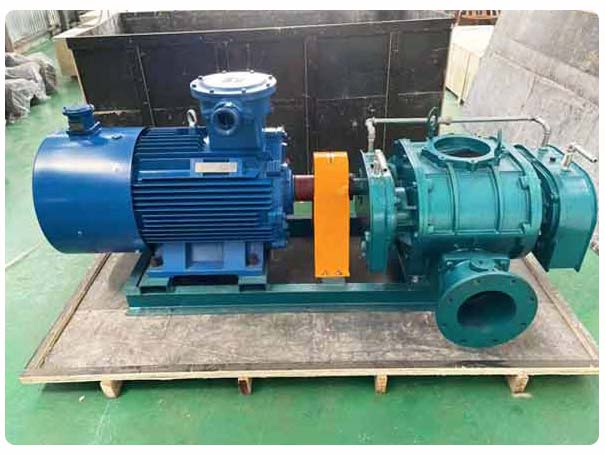 直聯(lián)傳動羅茨鼓風機 直聯(lián)傳動羅茨鼓風機